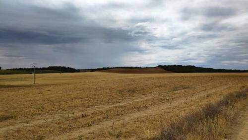 imagen 1 de Finca de regadío en Santa Clara de Avedillo (Zamora)