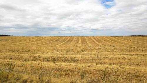 imagen 1 de Finca de regadío en Santa Clara de Avedillo (Zamora)
