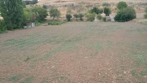 imagen 2 de Venta de finca con casa en Zamora