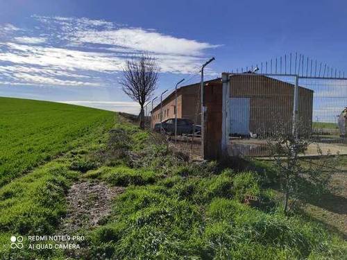 imagen 1 de Venta de finca de secano con nava de porcino en Coreses (Zamora)