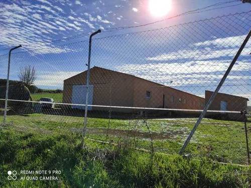 imagen 1 de Venta de finca de secano con nava de porcino en Coreses (Zamora)