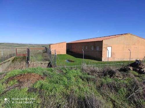 imagen 2 de Venta de finca de secano con nava de porcino en Coreses (Zamora)