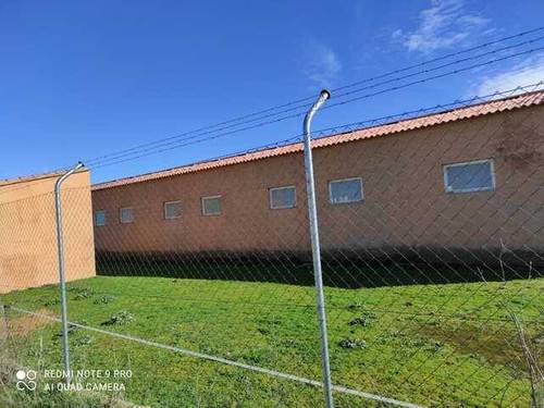 imagen 3 de Venta de finca de secano con nava de porcino en Coreses (Zamora)