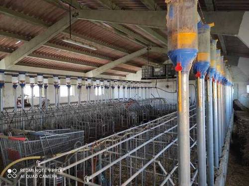 imagen 4 de Venta de finca de secano con nava de porcino en Coreses (Zamora)