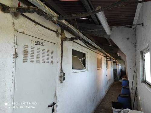 imagen 7 de Venta de finca de secano con nava de porcino en Coreses (Zamora)