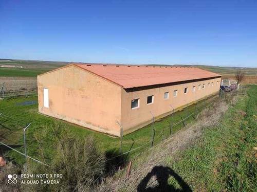 imagen 8 de Venta de finca de secano con nava de porcino en Coreses (Zamora)