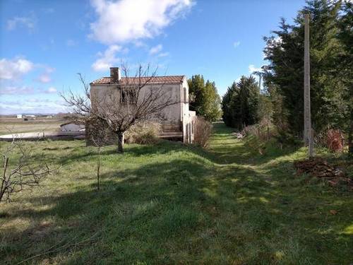 imagen 1 de Venta de finca con casa en Zamora