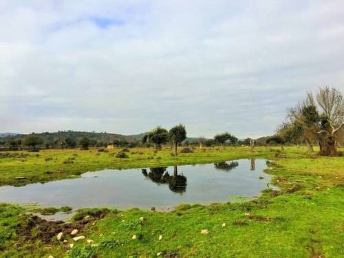 imagen 1 de Venta de dehesa en Zamora
