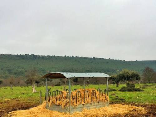 imagen 2 de Venta de dehesa en Zamora