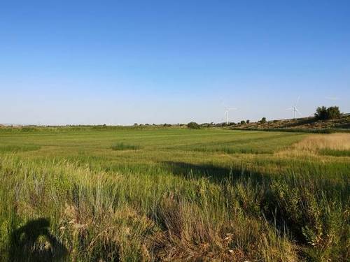 imagen 1 de Venta de finca de regadío en Mallén