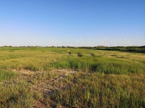imagen 1 de Venta de finca de regadío en Mallén