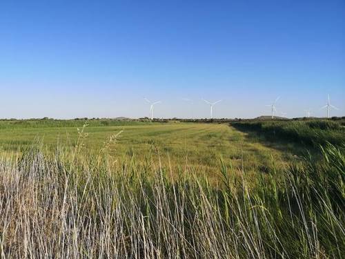 imagen 3 de Venta de finca de regadío en Mallén