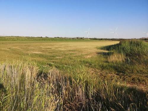 imagen 2 de Venta de finca de regadío en Mallén