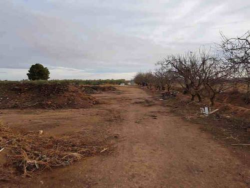 imagen 4 de Venta de finca en Calatorao (Zaragoza)
