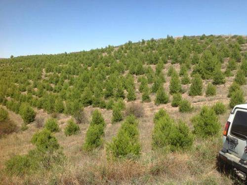 imagen 1 de Venta de finca con refugio en Ateca (Zaragoza)