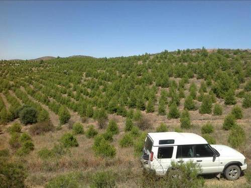 imagen 3 de Venta de finca con refugio en Ateca (Zaragoza)
