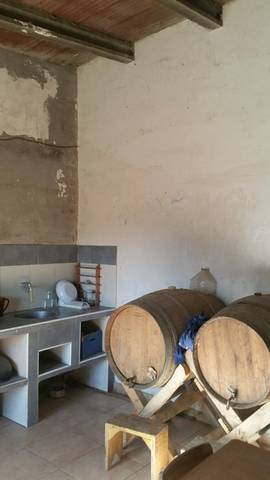 imagen 4 de Venta de finca con casita en Zaragoza