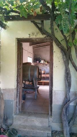 imagen 3 de Venta de finca con casita en Zaragoza