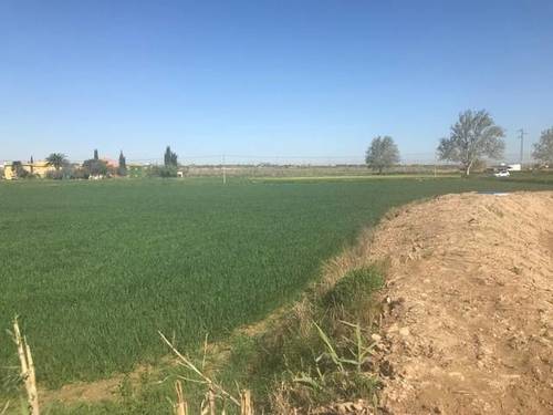 imagen 3 de Venta de terreno rústico en Movera (zaragoza)