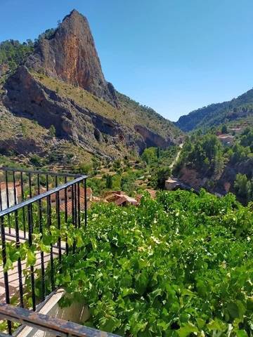 imagen 1 de Venta de casa en el campo en Royo de Odrea (Albacete)