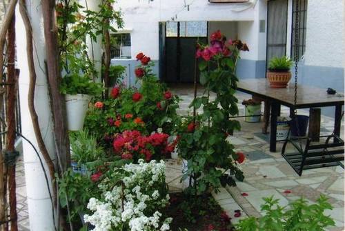 imagen 4 de Venta de casa en el campo en Royo de Odrea (Albacete)
