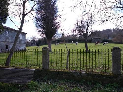 imagen 3 de Venta de monasterio en Chantada (Lugo)