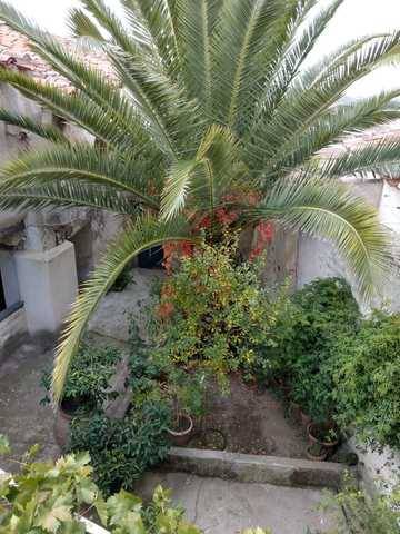 imagen 2 de Venta de preciosa casa rural en Chinchón