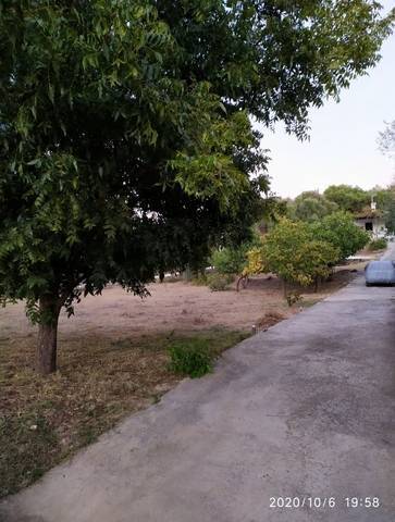 imagen 3 de Venta de casa con parcela en Coin (Málaga)