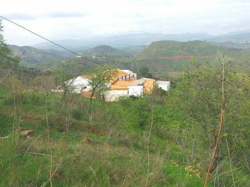 imagen 5 de Venta de casa con terreno en Almogia (Málaga)
