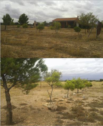 imagen 2 de Venta de terreno con casa de campo en Campo de Criptana
