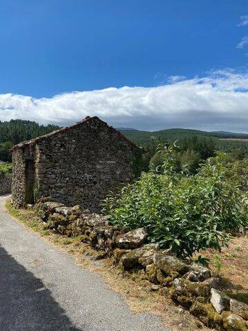 imagen 7 de Venta de casa rural en La Ribeira Sacra, Sober (Lugo)