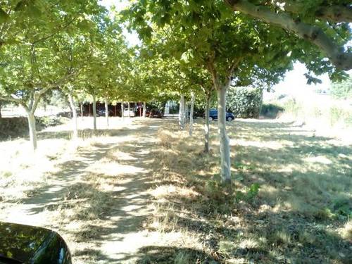 imagen 7 de Venta de vivienda en entorno rural con parcela en Villar de Plasencia (Cáceres)
