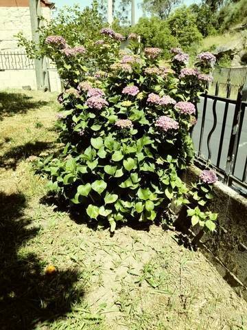 imagen 2 de Venta de casa rural en Arbo (Pontevedra)