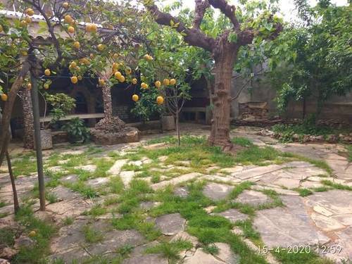imagen 1 de Venta de chalet con jardín en Riudoms (Tarragona)