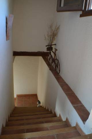 imagen 6 de Venta de apartamento rural en Linarejos