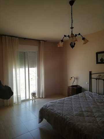 imagen 1 de Venta de casa rural en Caracuel de Calatrava