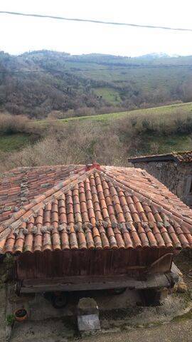 imagen 3 de Venta de casa rural en la montaña en Linares (Asturias)