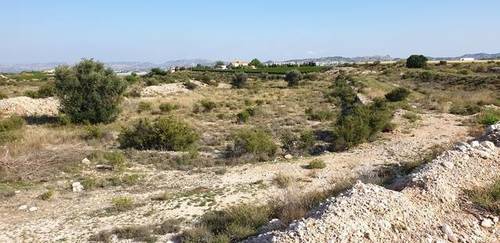 imagen 2 de Venta de casa con bodega en Novelda (Alicante)