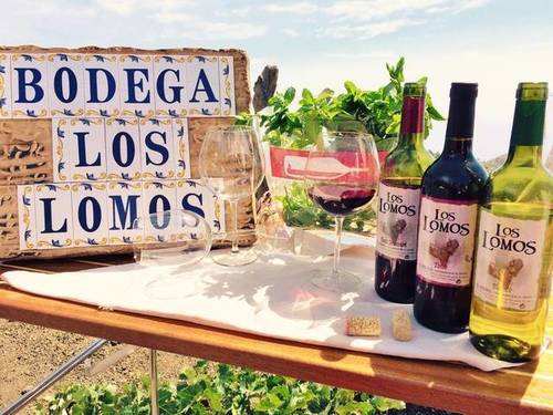 imagen 1 de Venta de bodega en El Pinar (El Hierro)