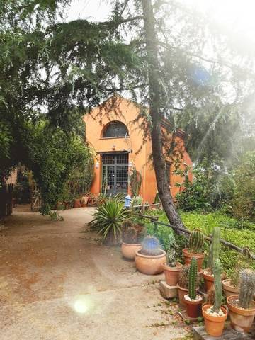 imagen 1 de Venta de finca de recreo en Lepe (Huelva)