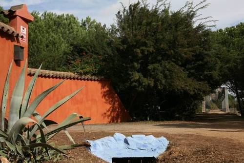 imagen 4 de Venta de finca de recreo en Lepe (Huelva)