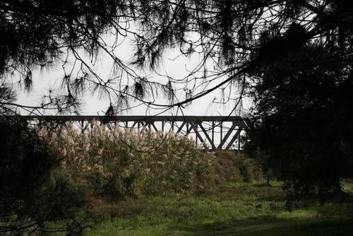 imagen 5 de Venta de finca de recreo en Lepe (Huelva)