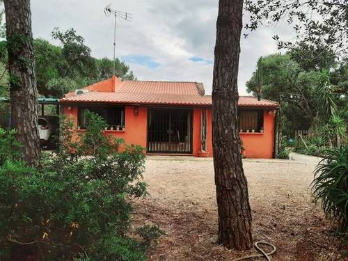 imagen 7 de Venta de finca de recreo en Lepe (Huelva)