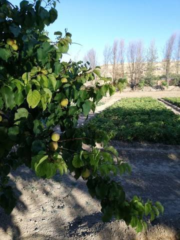 imagen 2 de Venta de casa con bodega en Urda (Toledo)