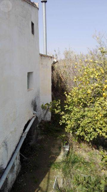 imagen 3 de Venta de cortijo con bodega en Purchena (Almería)