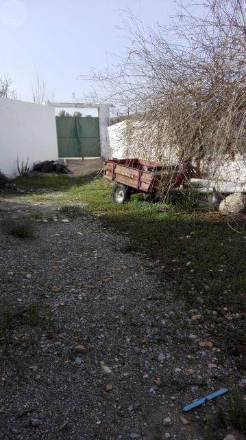 imagen 5 de Venta de cortijo con bodega en Purchena (Almería)