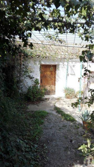 imagen 7 de Venta de cortijo con bodega en Purchena (Almería)