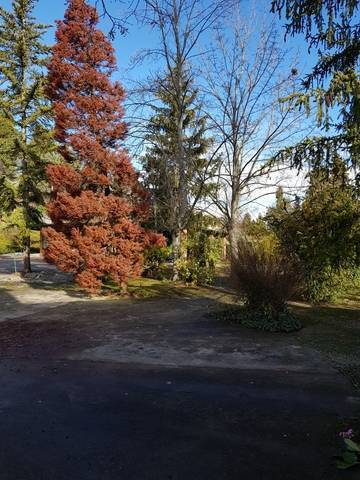 imagen 4 de Venta de casa rural con bodega en Nalda