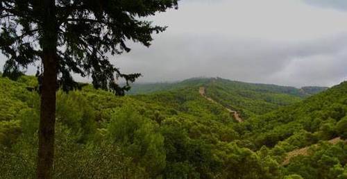 imagen 1 de Venta de finca con casa rural en Málaga