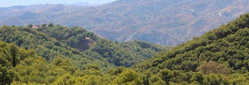 imagen 1 de Venta de finca con casa rural en Málaga